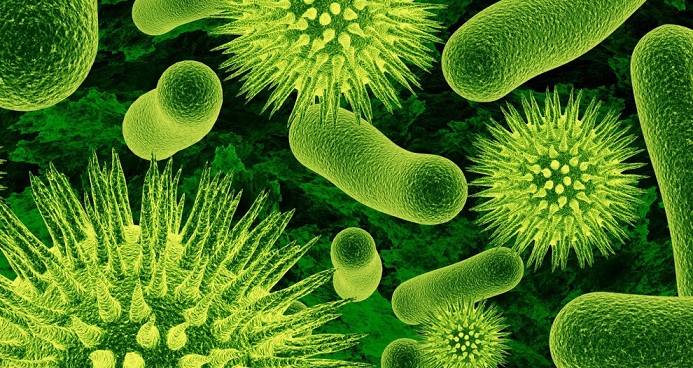 Mikroorganizmalar Hayat Kurtarır