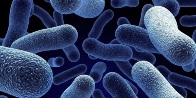 Sıcağı seven deniz bakterisi, asbestin zehirleyici etkisini yok edebilir