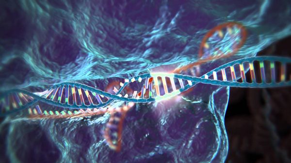 CRISPR-Cas9 Tekniğiyle Yapılan 7 Muhteşem Şey 