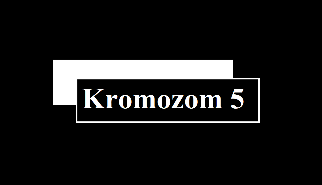 5. Kromozom