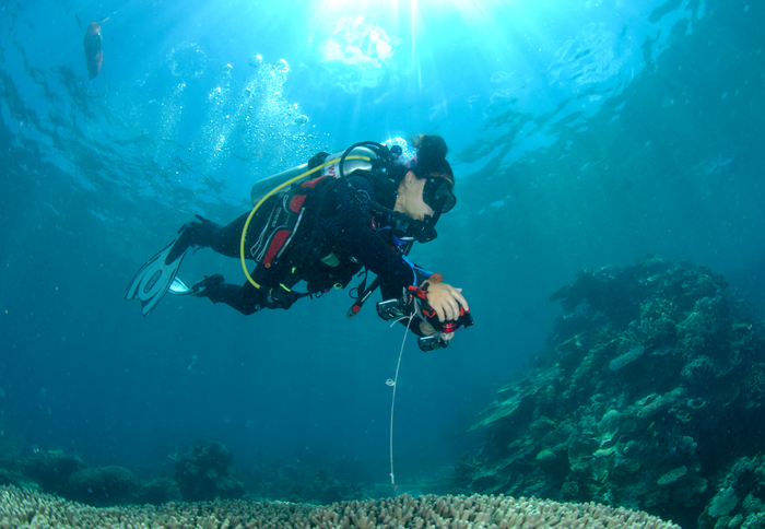 Queensland Üniversitesi'nden çevre bilimci Alexandra Ordoñez Alvarez, Ashmore Bank'taki Far Northern Great Barrier Reef'te veri topluyor. 