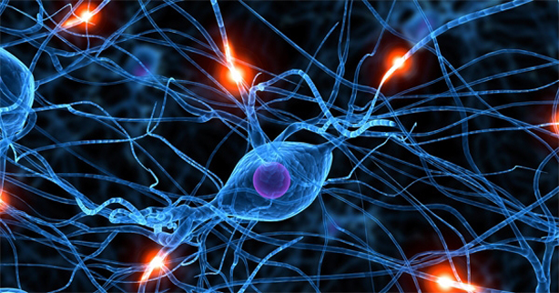 Beyni Kullanarak Nöronlar Kontrol Edilebilir