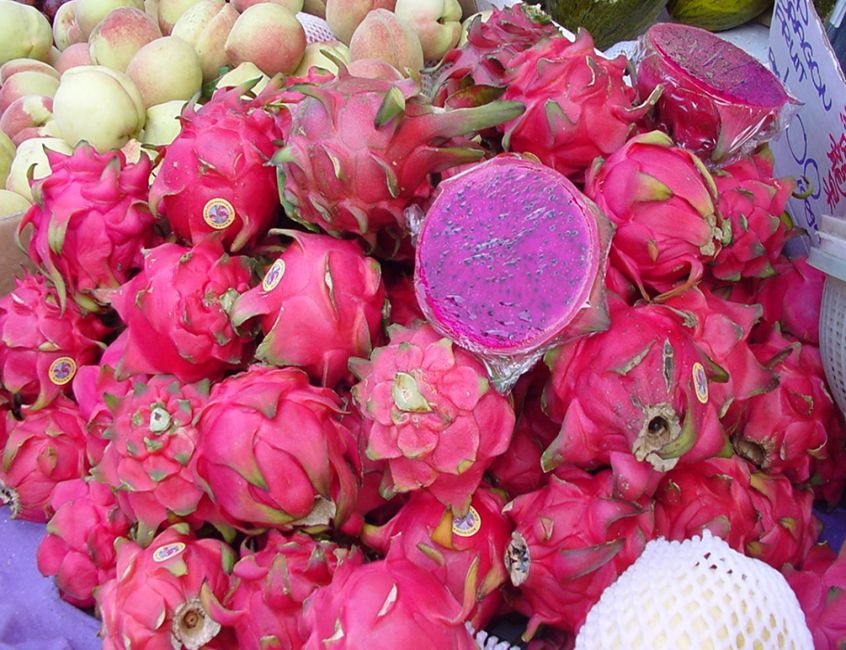 Fotoğraf: boo lee - pink dragonfruit, CC BY 2.0, https://commons.wikimedia.org/w/index.php?curid=10469810