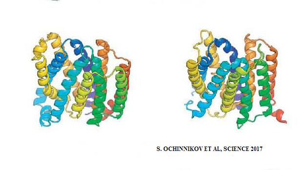 Bilinmeyen Protein Yapıları Öngörülmeye Başlandı